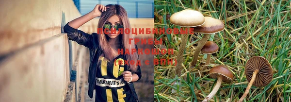 не бодяженный Аркадак