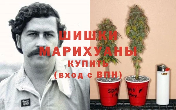 не бодяженный Аркадак