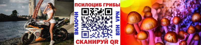 мега онион  дарнет шоп  Багратионовск  Галлюциногенные грибы Cubensis 
